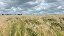 Het weer van vandaag lijkt op dat van gisteren - Jolanda Bakker