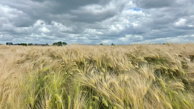 Het weer van vandaag lijkt op dat van gisteren - Jolanda Bakker
