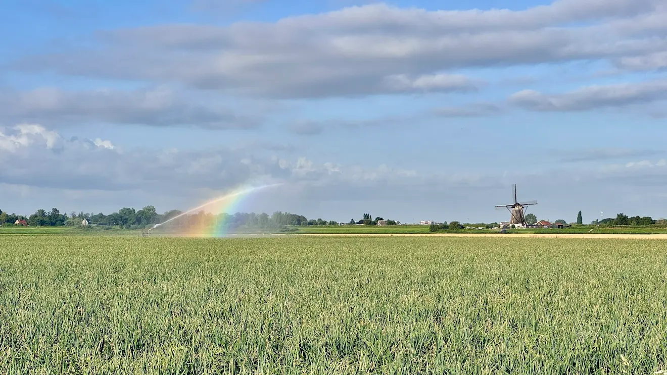 Sproeiers in het land bij Zevenhuizen - Jolanda Bakker