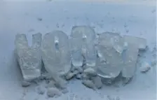 Vorst - Cynthia van Leusden