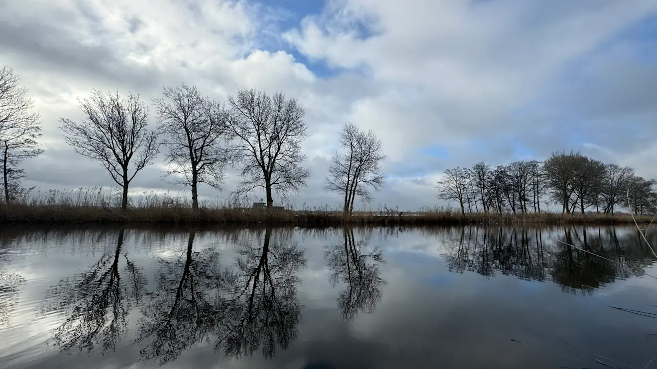 Wolken en de zon streden vochtend lang om de eer - Jolanda Bakker