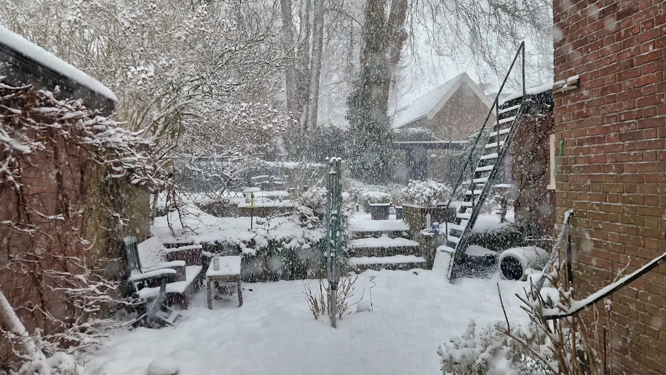 Sneeuwval in onze tuin, ook de eerste week van januari - Reinout van den Born