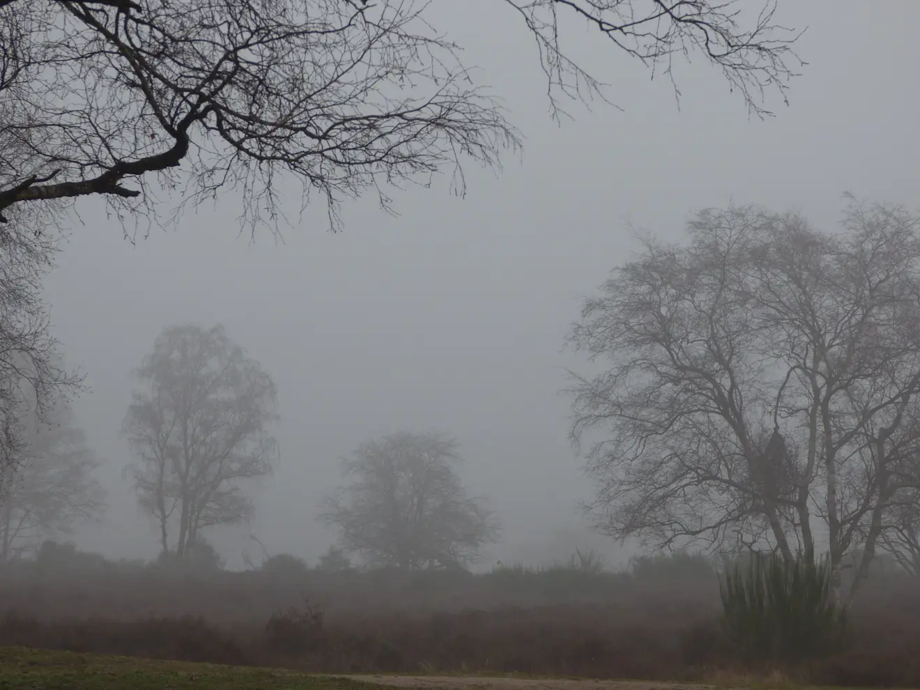 Mistig weer bij de start van de dag, vanochtend - Chris Meewis