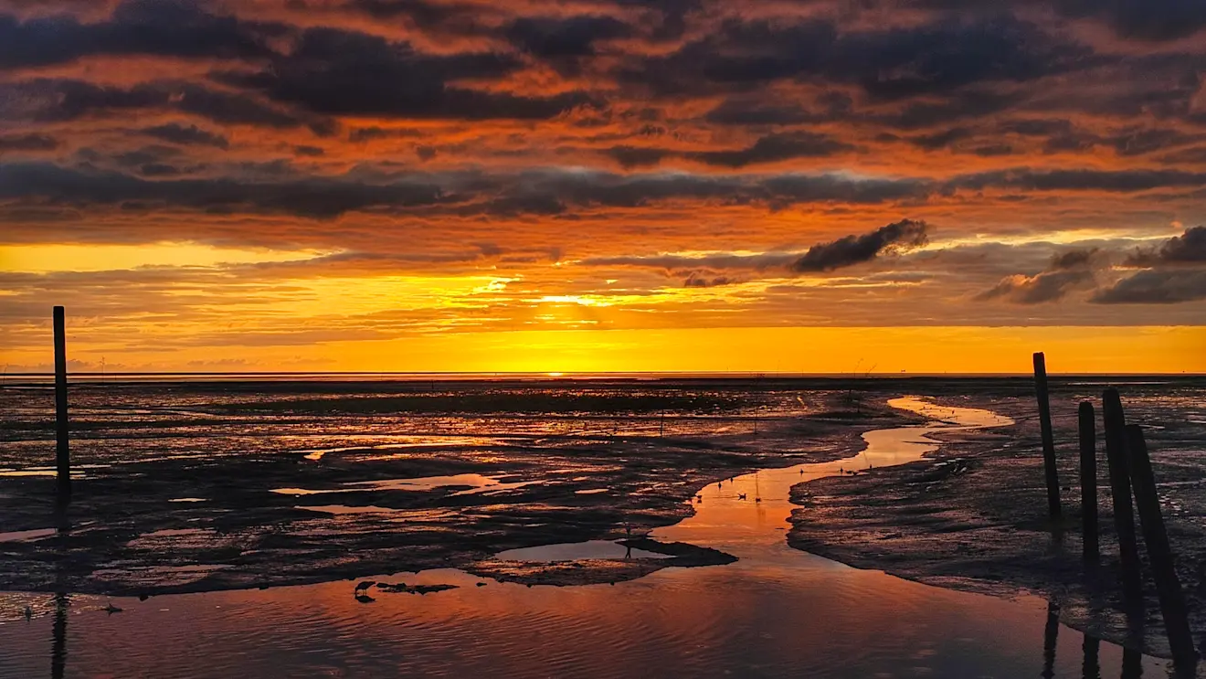 Zonsopkomt boven de Waddenzee - Jannine Sanders