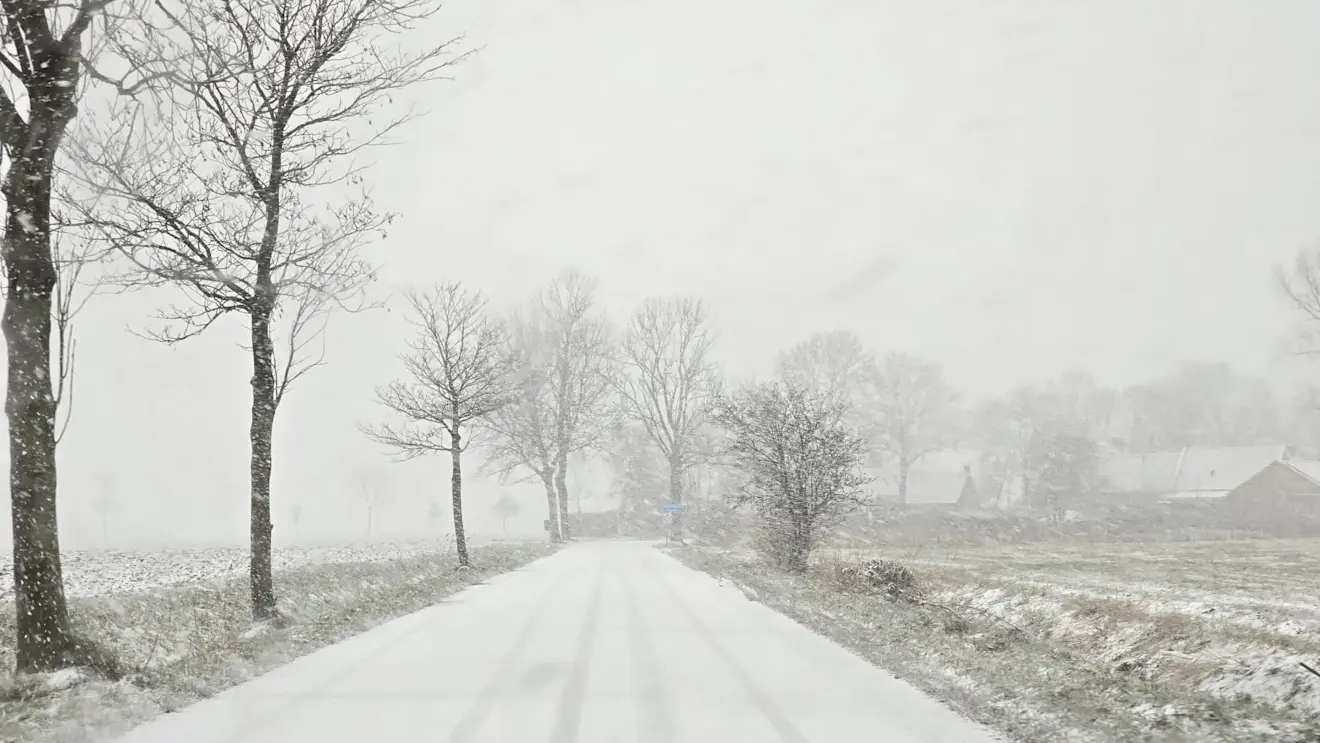 Dikke sneeuw, vanochtend in Roodeschool - Jannes Wiersema