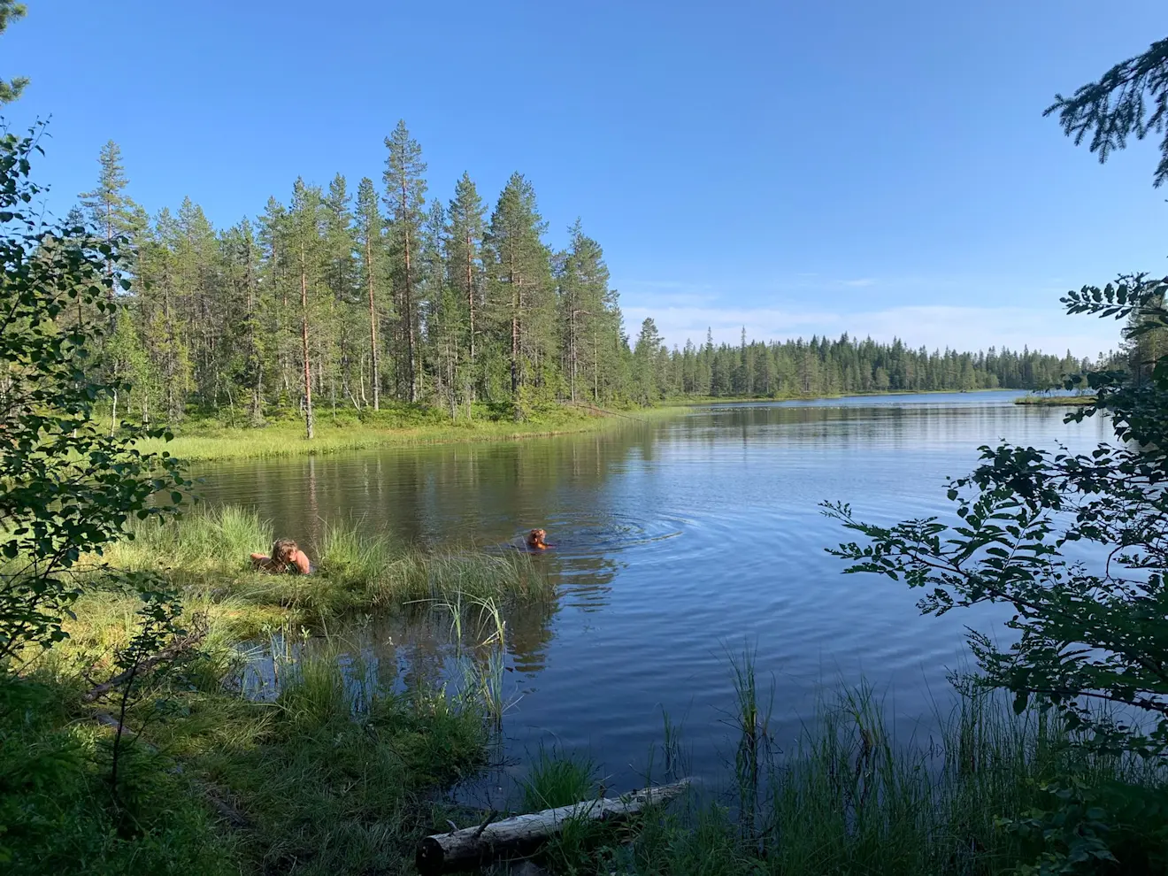 Zwemmen in een meertje bij Hede - Maartje Kampjes