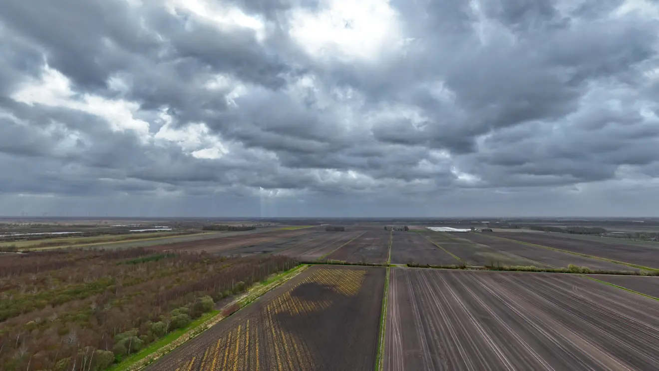 Kale velden in Drenthe - Simone Genna