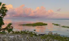 Apalachee Bay - James Leon Young