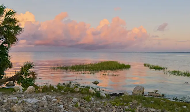 Apalachee Bay - James Leon Young