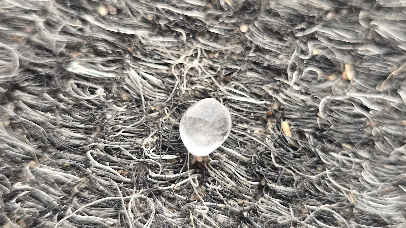 Tijdens de bui in Roodeschool kwam ook wat hagel omlaag - Jannes Wiersema