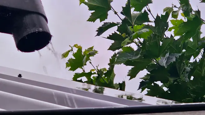 Herfstbuien - Nely van Frankenhuyzen