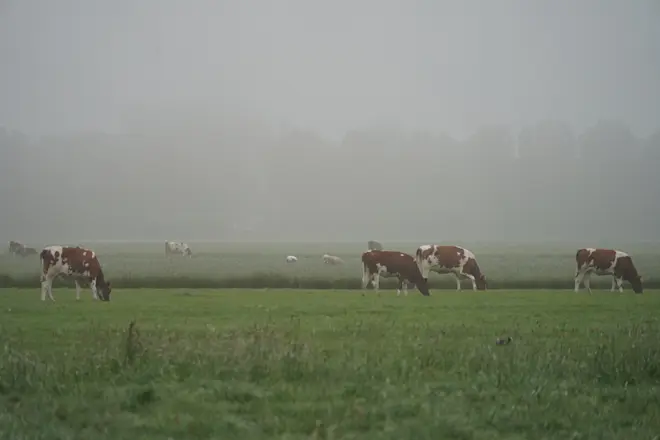De dag begon op veel plaatsen nevelig en stil - Joost Mooij