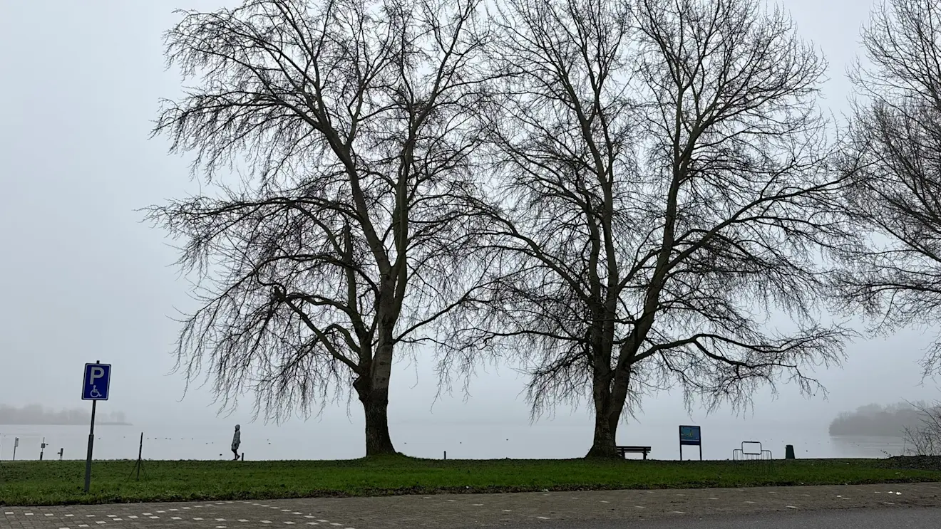 Grau in grau - Jolanda Bakker