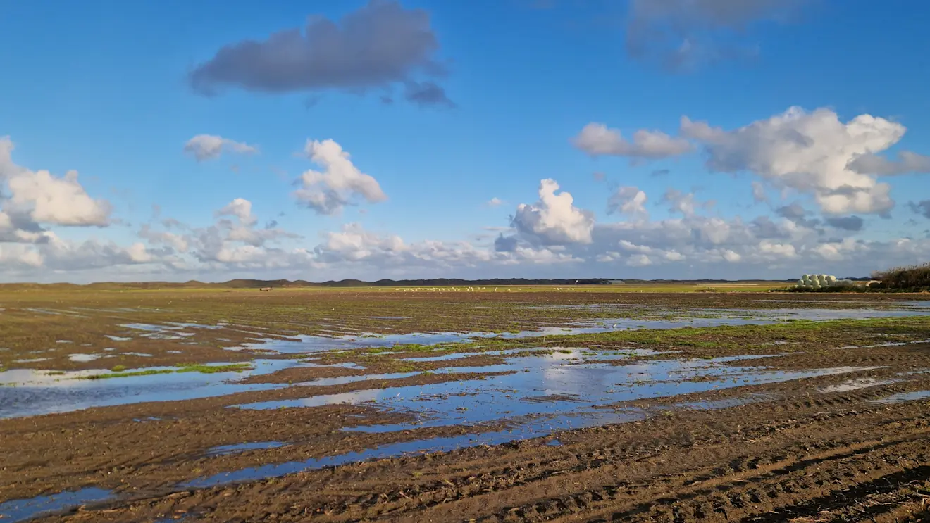 Er komt een einde aan het wisselvallige weer van de laatste tijd - Frans Alderse Baas
