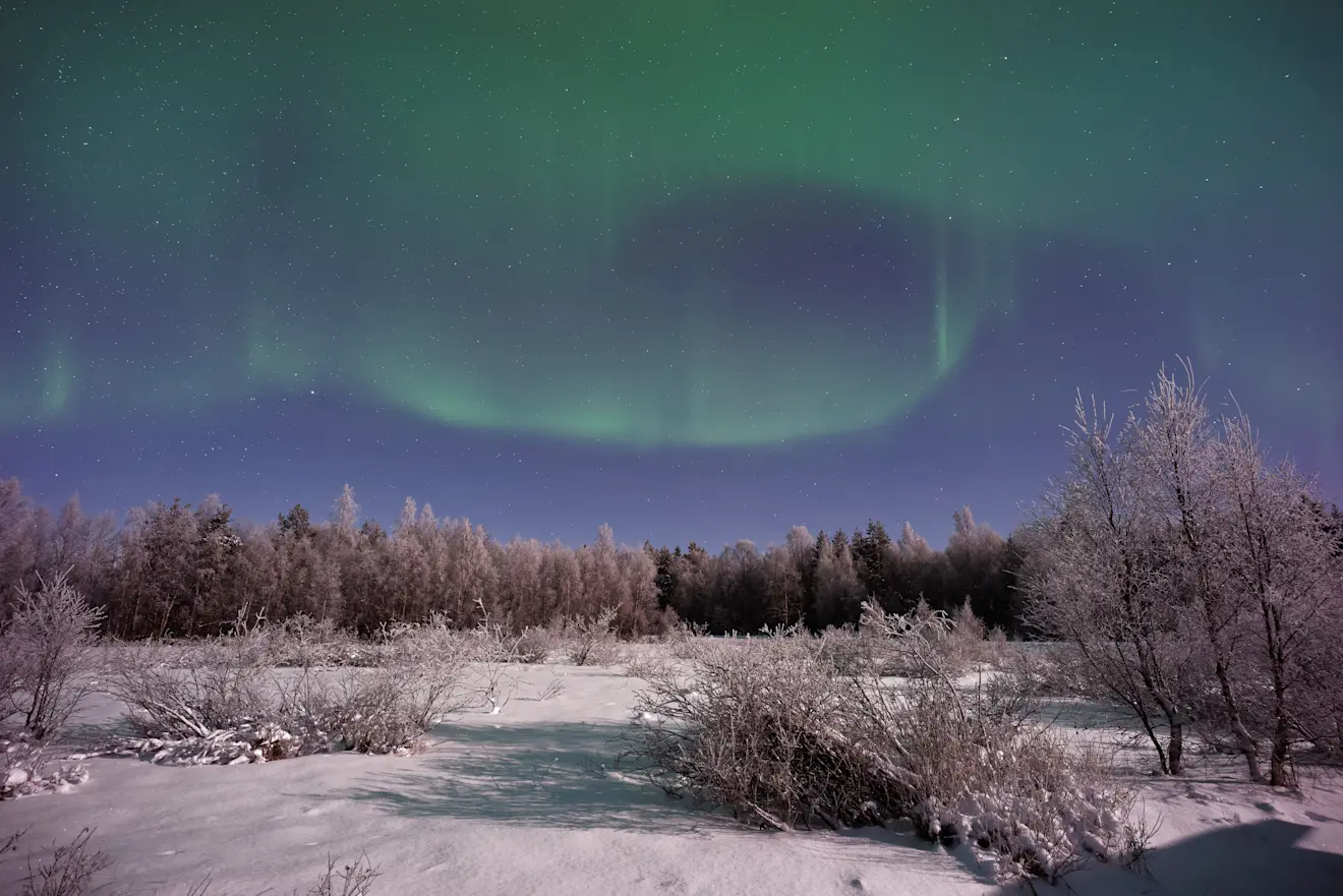Noorderlicht boven Fins Lapland, in de buurt van Sodankylä. Het was er aan het begin van dit jaar langere tijd ijskoud - Vincent Guth