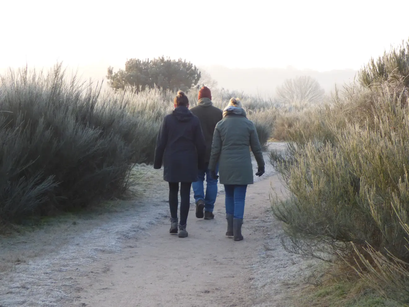 Het duurt niet lang meer, of de zon maakt het weer warm in Nederland. Maar vandaag nog even niet - Chris Meewis