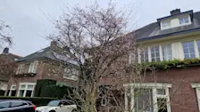 Deze boom in Velp staat door het warme weer van de laatste tijd alweer in bloei - Reinout van den Born