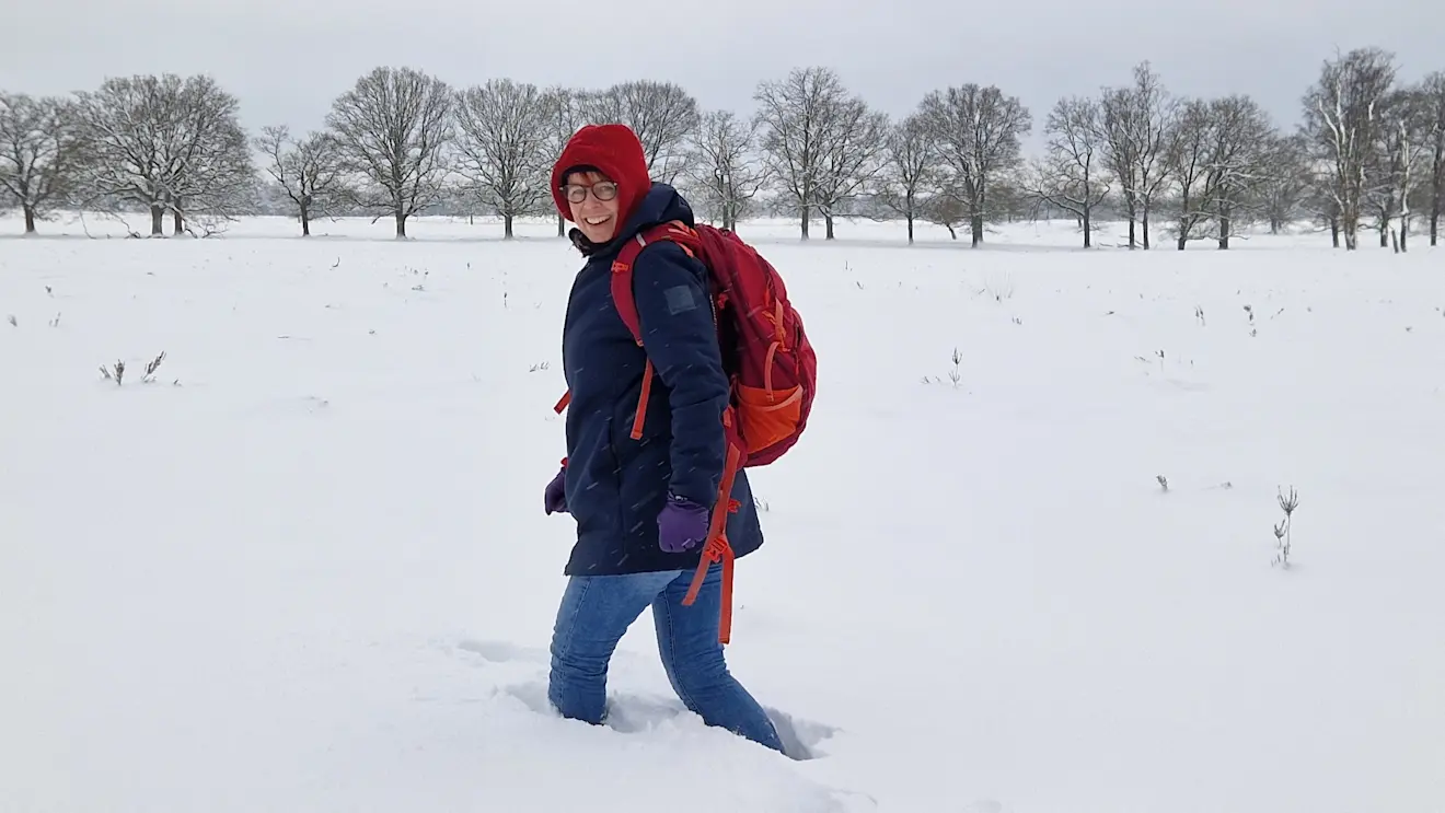 In het Deelerwoud, tussen Apeldoorn en Arnhem, lag soms 30 tot 40 centimeter sneeuw - Reinout van den Born