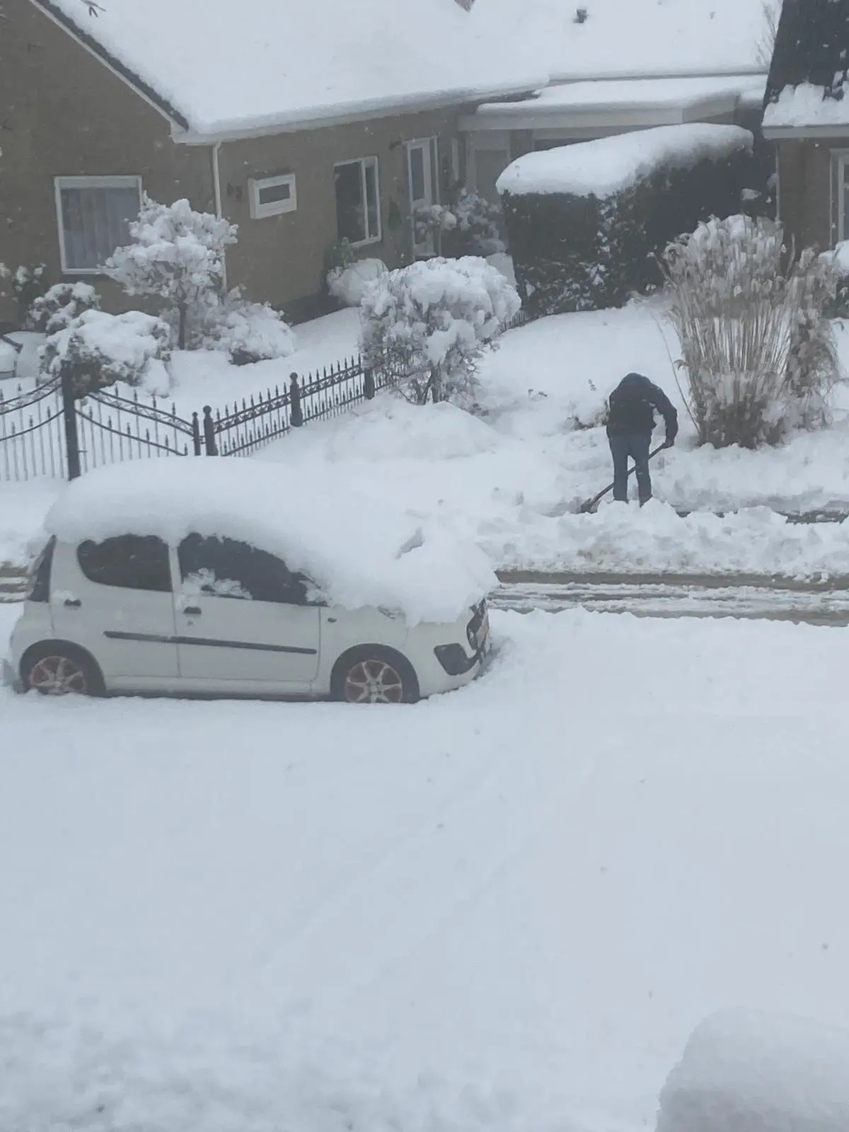 Erg veel sneeuw in Buitenpost - Cees Leijen