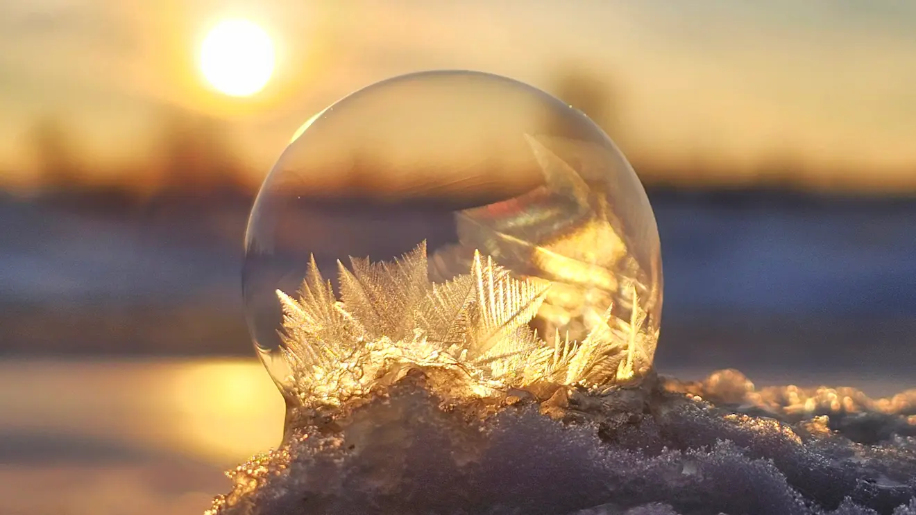 IJsbellen in de laagstaande zon - Jannine Sanders
