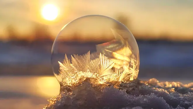 IJsbellen in de laagstaande zon - Jannine Sanders