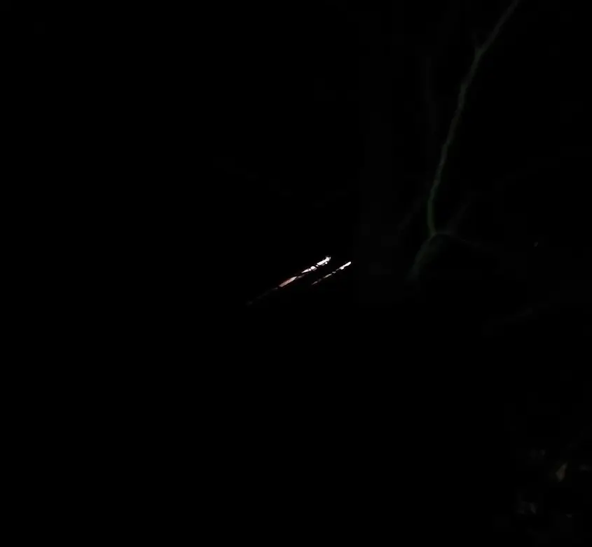 De twee strepen in de lucht, zoals die de afgelopen nacht boven Nederland zichtbaar waren - still uit video