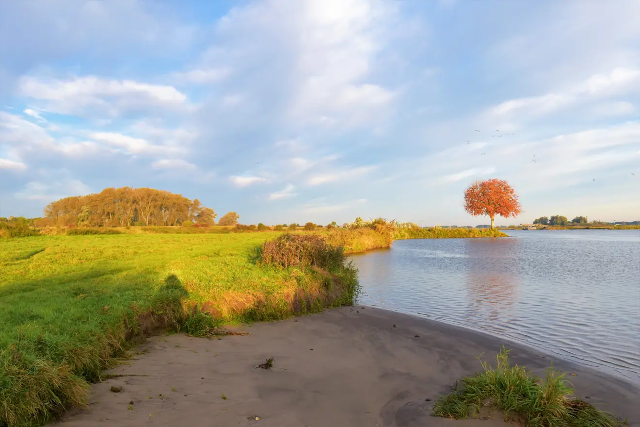 Een prachtige herfst tafereel in de Betuwe - Cynthia van Leusden