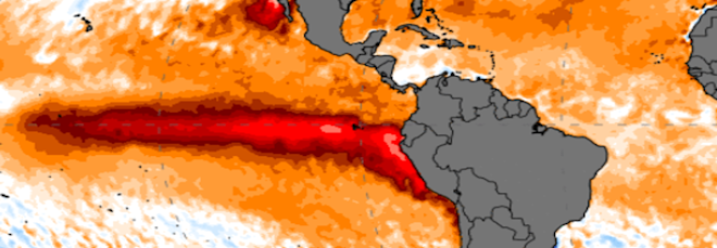 De afwijkingen van de watertemperaturen in het gebied van El Niño nu - Climate Reanalyzer