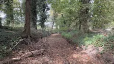 Een van de droogstaande beken in de buurt van Winterswijk waar de excursie heen ging - Pieter Bliek