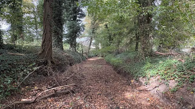 Een van de droogstaande beken in de buurt van Winterswijk waar de excursie heen ging - Pieter Bliek