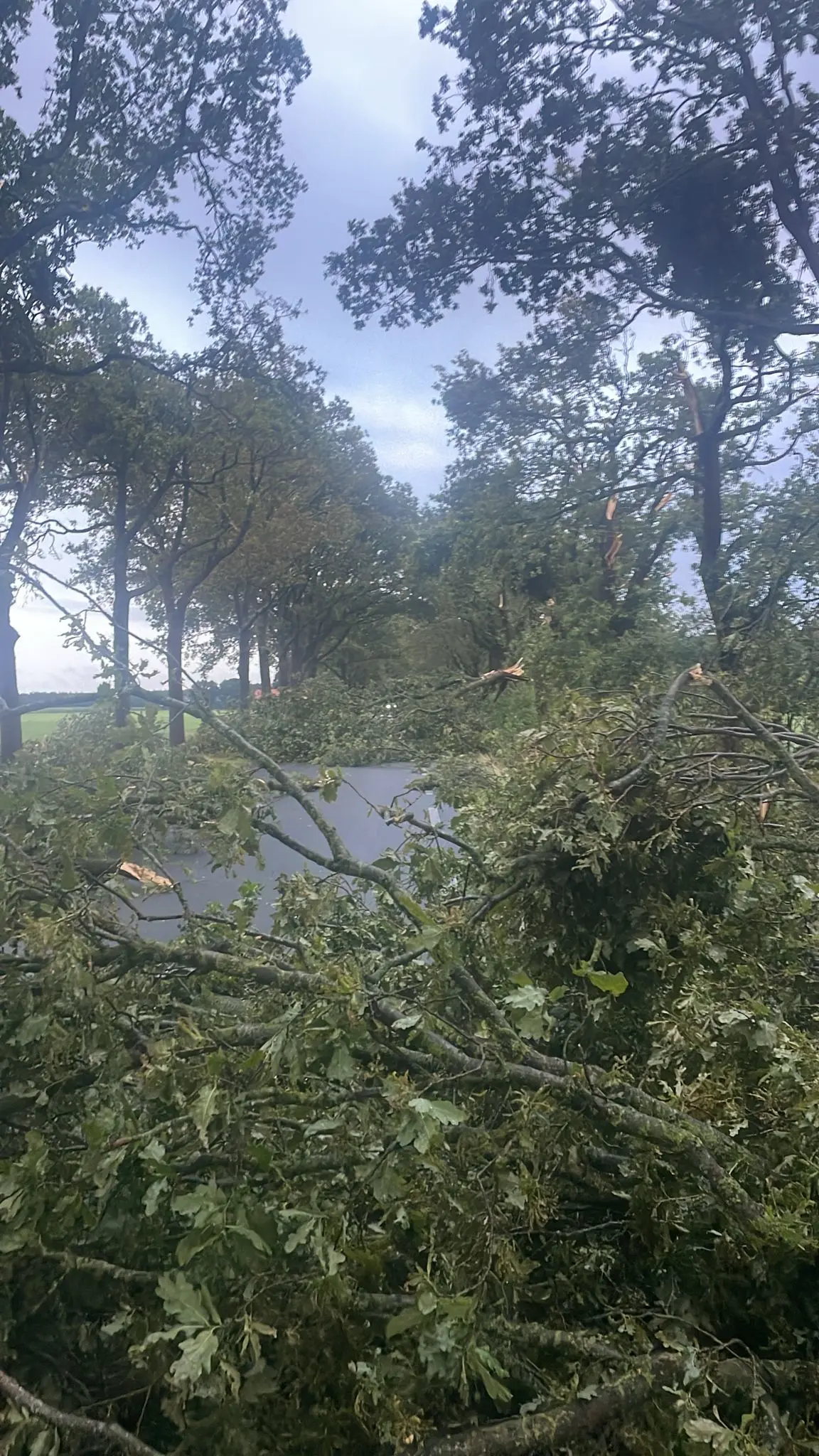 De Borgerderweg is na de passage van de bui min of meer geblokkeerd - Marije van der Dam.