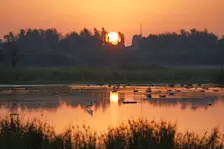 Een mooie start van de dag in Alphen aan den Rijn - Joost Mooij