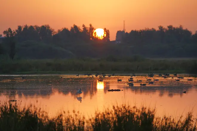 Een mooie start van de dag in Alphen aan den Rijn - Joost Mooij