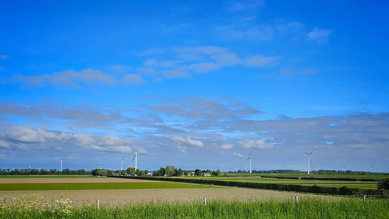 Een zonnetje boven Flevoland - Jannine Sanders - Kroeze