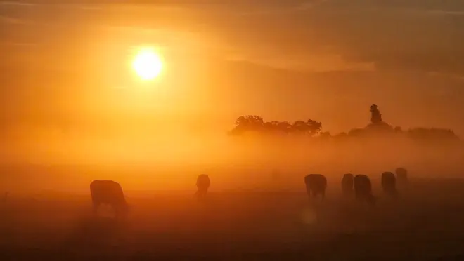Fraaie zonsopkomst in Kamperveen - Jannine Sanders