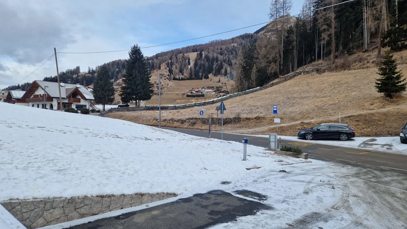 Wit en bruin - Reinout van den Born