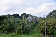 Mooie nazomeravond in Beusichem - Huibert Boon