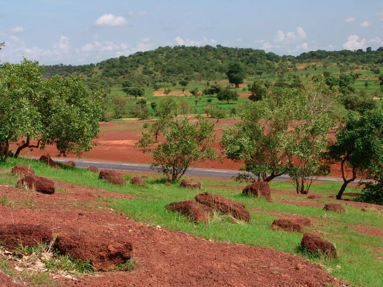 Tijdens de regentijd in Mali wordt de omgeving groen - Wikipedia