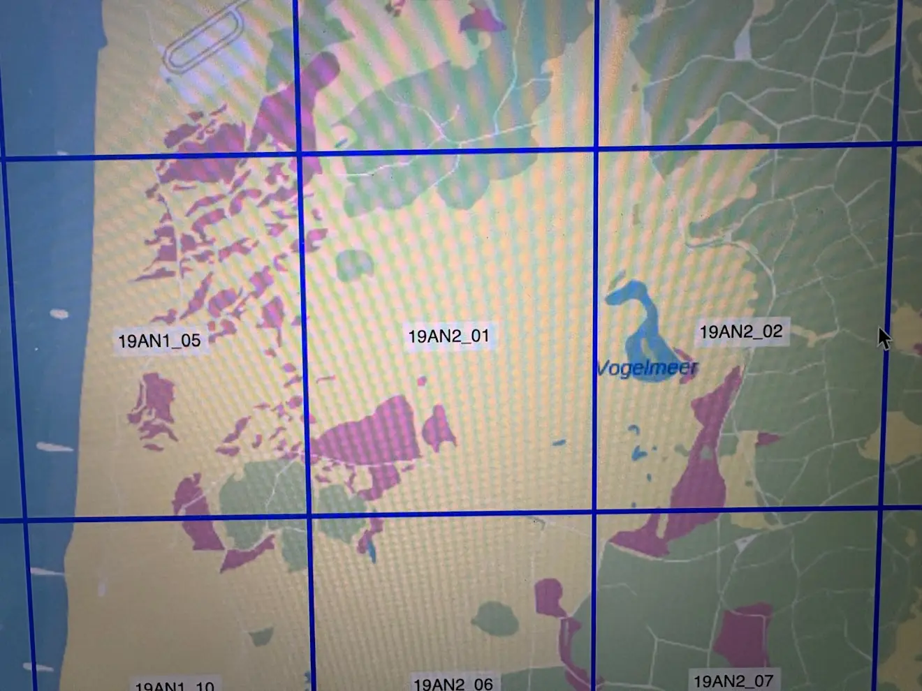 De Schoorlse duinen in tegels opgedeeld - IHE Institute for Water Education