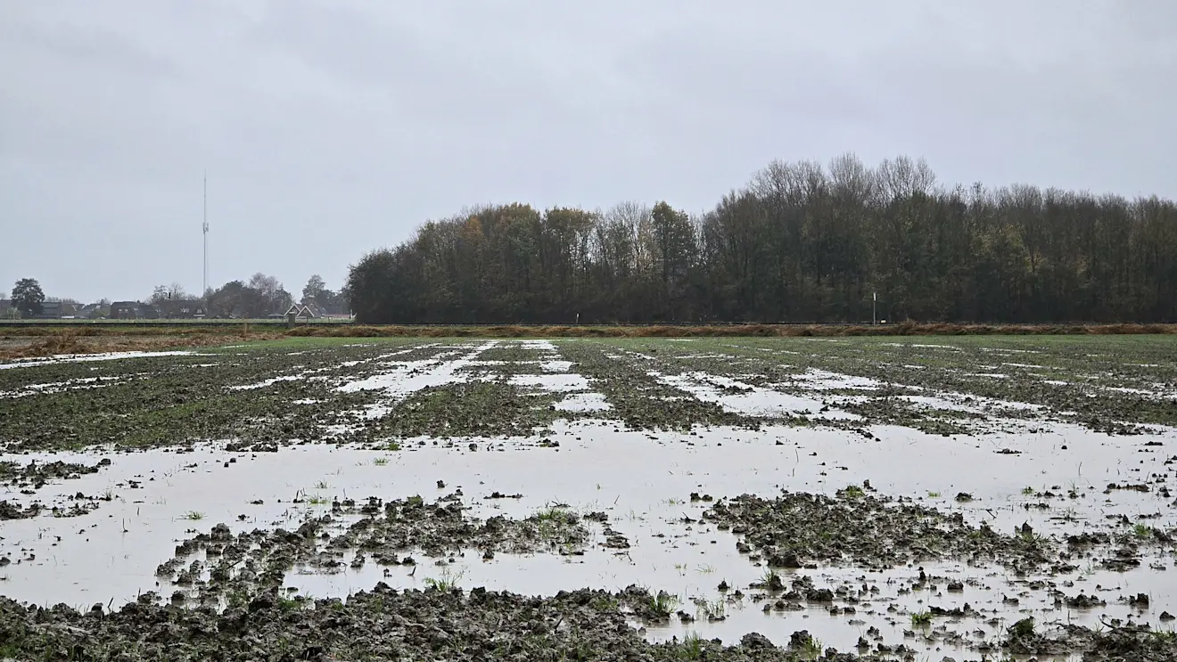 Overvloedige regenval, ook in Noordoost-Groningen - Jannes Wiersema