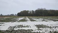 Overvloedige regenval, ook in Noordoost-Groningen - Jannes Wiersema
