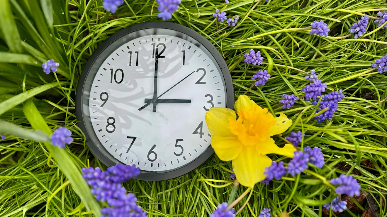 De klok gaat in de nacht naar zondag een uurtje vooruit, als de zomertijd begint - Jolanda Bakker