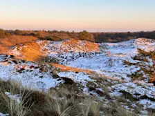 Bol 2 in de sneeuw - Pieter Bliek