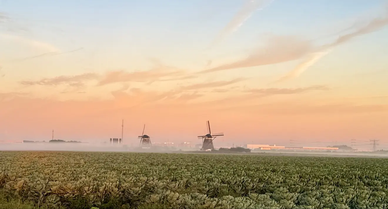 Kalme en mistige start van de ochtend - Jolanda Bakker