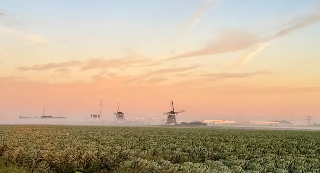 Kalme en mistige start van de ochtend - Jolanda Bakker