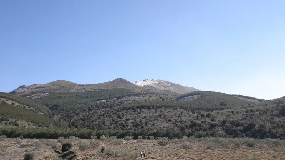 In de droge Sierra de los Filabres, ten noorden van de stad Almeria, is de afgelopen nacht veel regen gevallen - Wikipedia