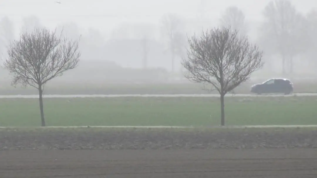 Stof in Groningen - Jannes Wiersema