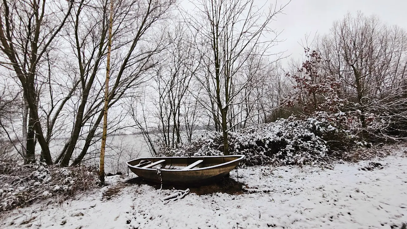 Op veel plaatsen lag vanochtend een laagje sneeuw - Nely van Frankenhuyzen