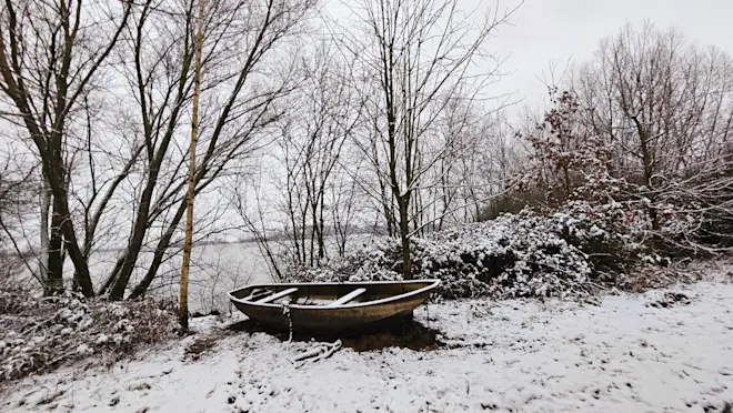 Op veel plaatsen lag vanochtend een laagje sneeuw - Nely van Frankenhuyzen