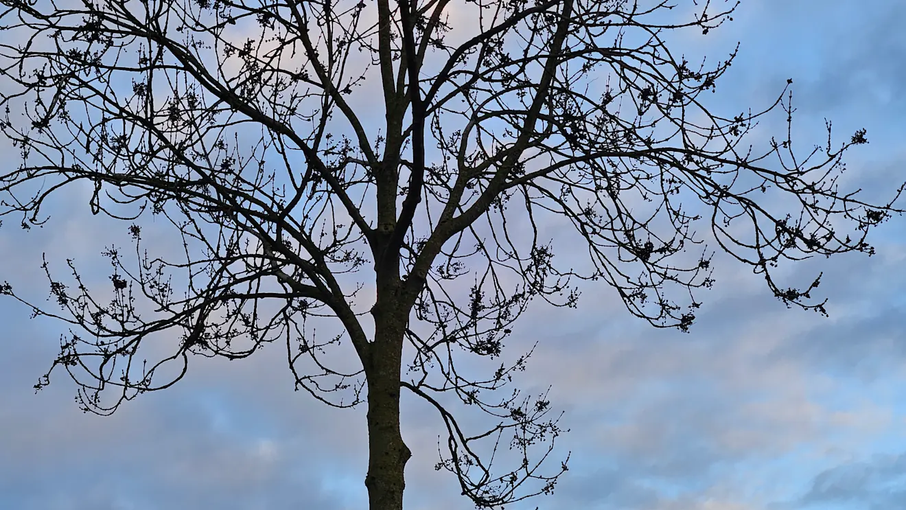Wolken en een beetje blauw - Nely van Frankenhuyzen